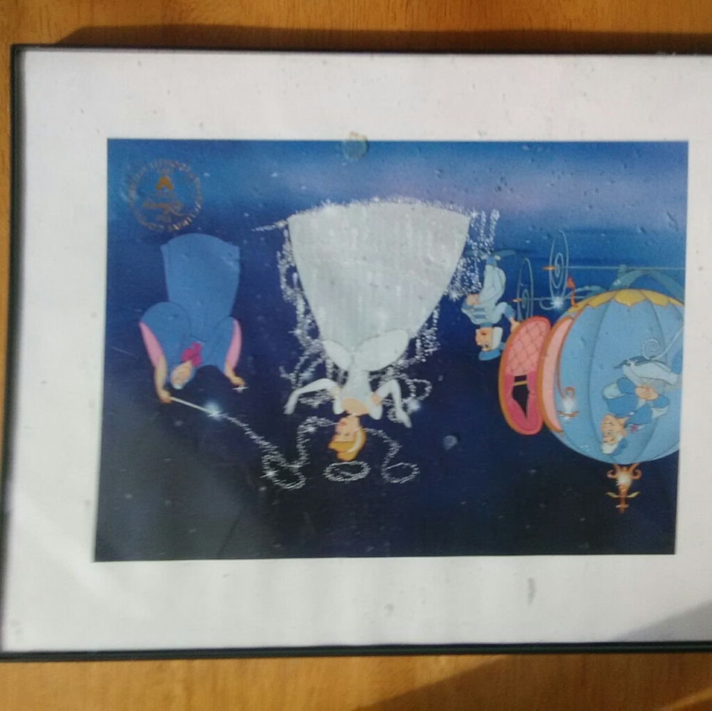 Disney Cinderella Collective